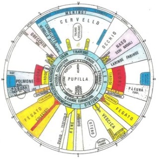 Cos'è l'iridologia e come può aiutarti